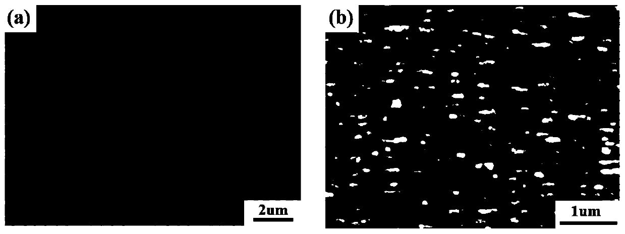 A Surface-Enhanced Raman Substrate Fabrication Method Based on Electron Dynamic Control