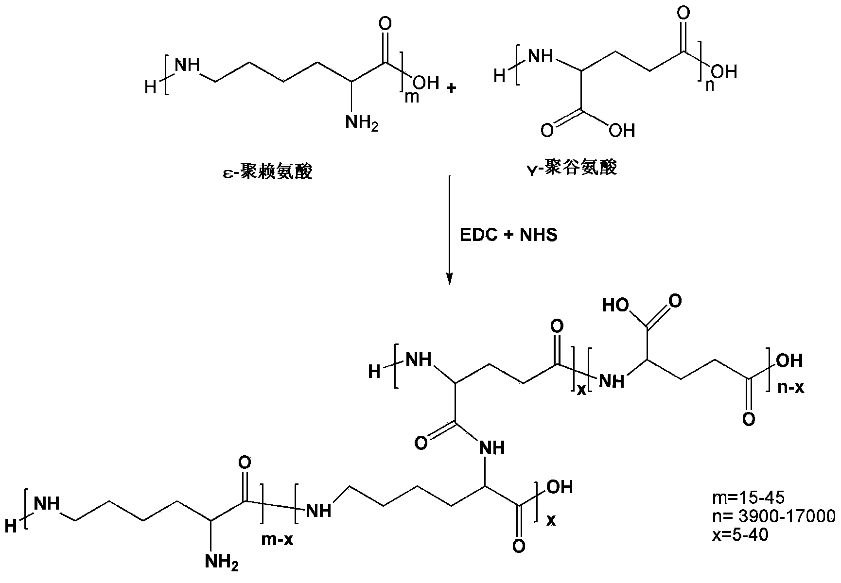 Hydrogel based on gamma-polyglutamic acid and epsilon-polylysine cross-linked polymer and preparation method thereof