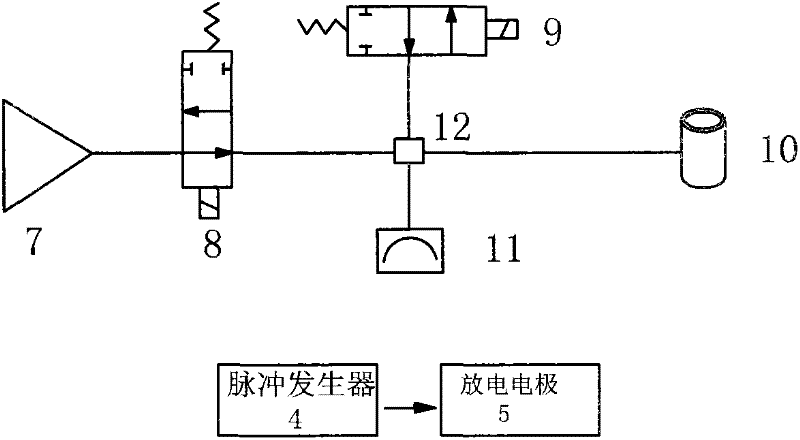 Pelma and shank bionic pump and use method