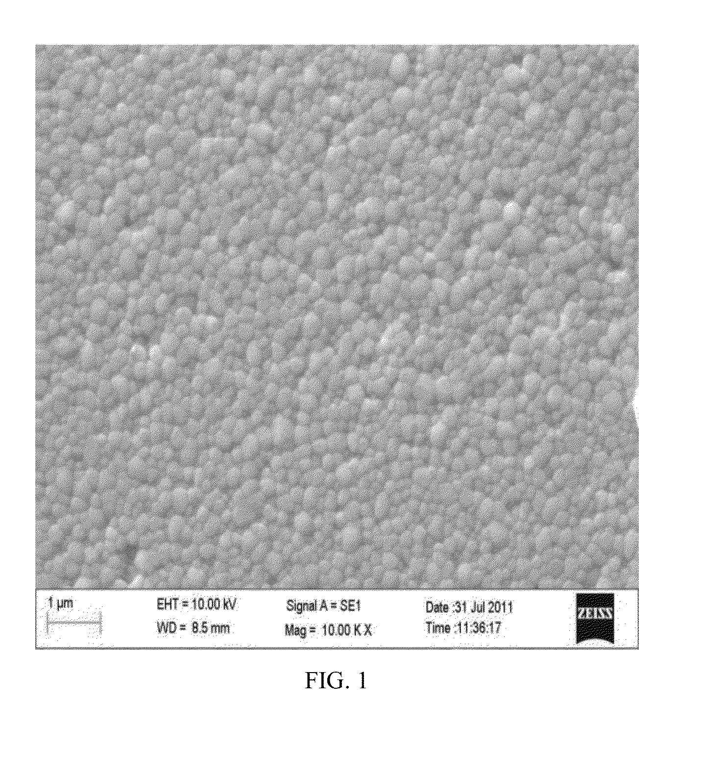 Ceramic ferrule