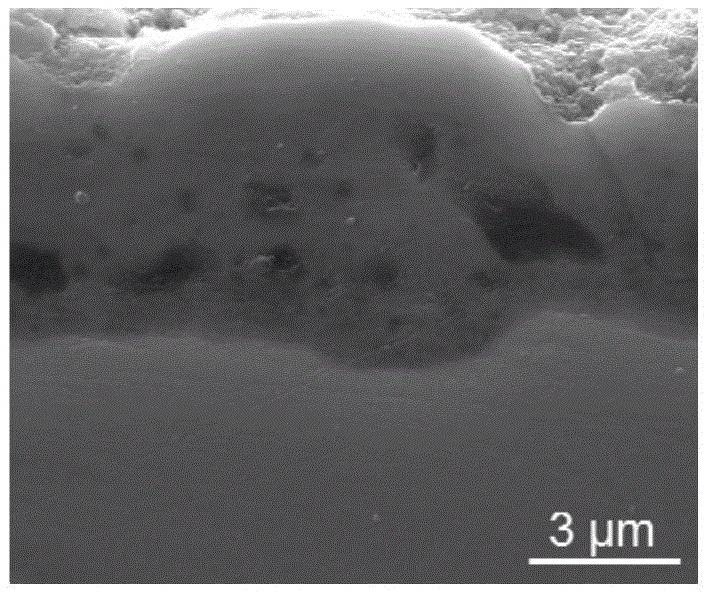 Zinc titanate-titanium oxide composite antibacterial coating on surface of titanium and preparation method of zinc titanate-titanium oxide composite antibacterial coating