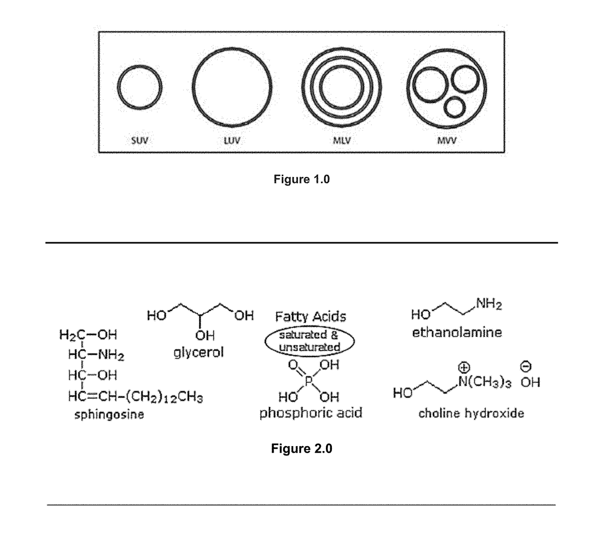 Apparatus and method for preparing cosmeceutical ingredients containing epi-dermal delivery mechanisms