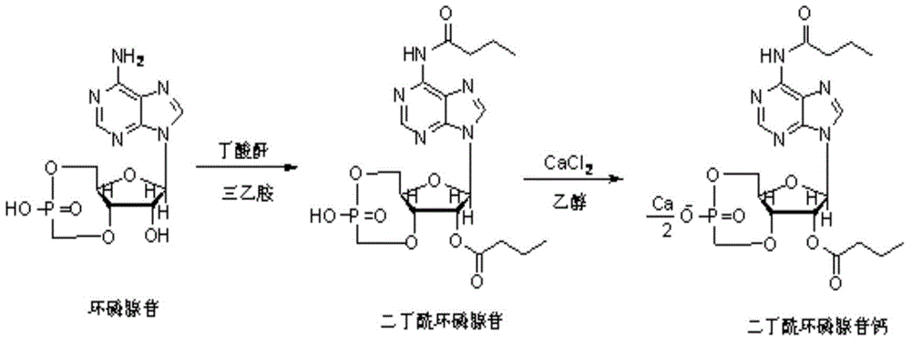Method for preparing calcium dibutyryladenosine cyclophosphate