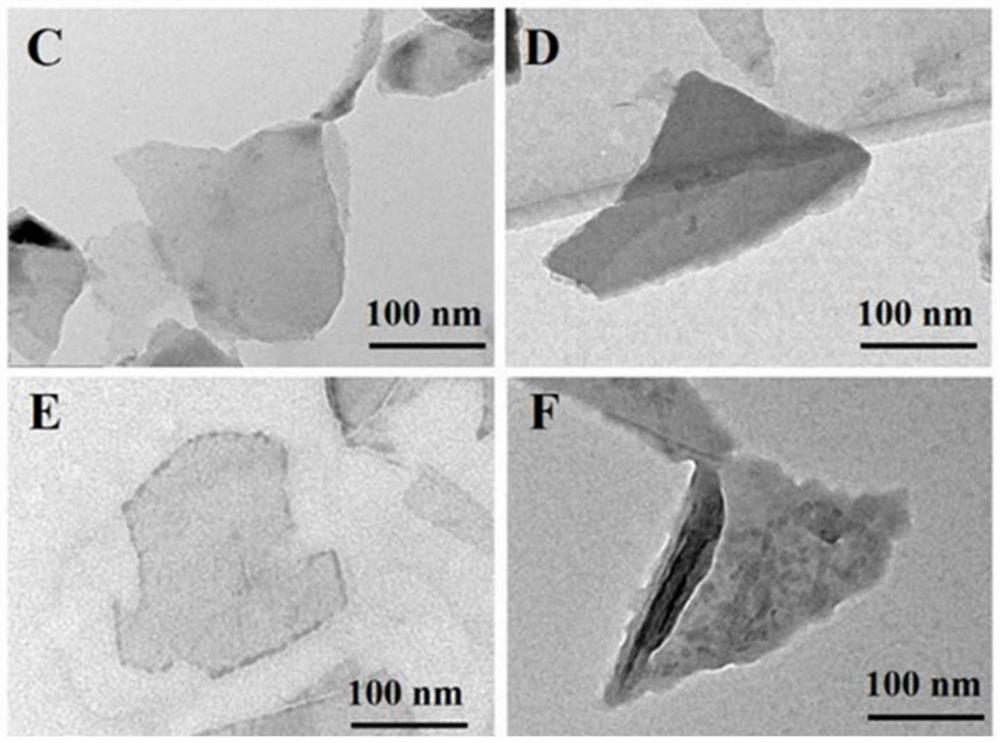 A kind of nano drug system targeting tumor and preparation method thereof