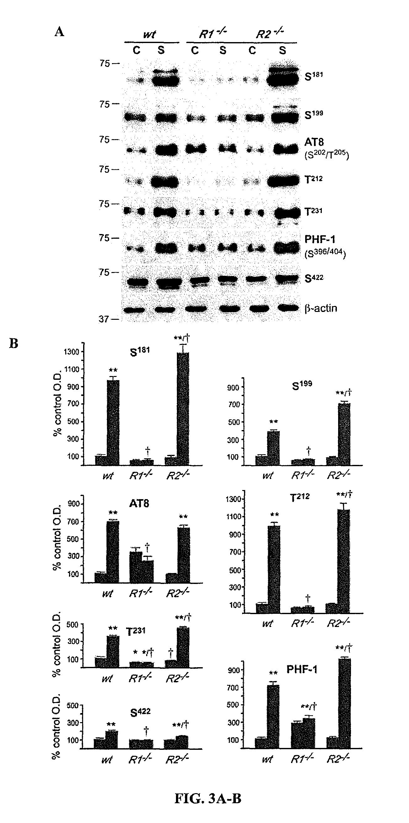 Methods for treatment and prevention of tauopathies and amyloid beta amyloidosis by modulating CRF receptor signaling