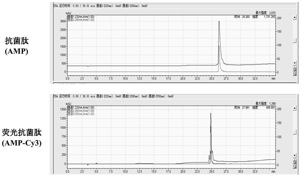 Drug-loaded nano-particles with core-shell structure as well as preparation method and application of drug-loaded nano-particles