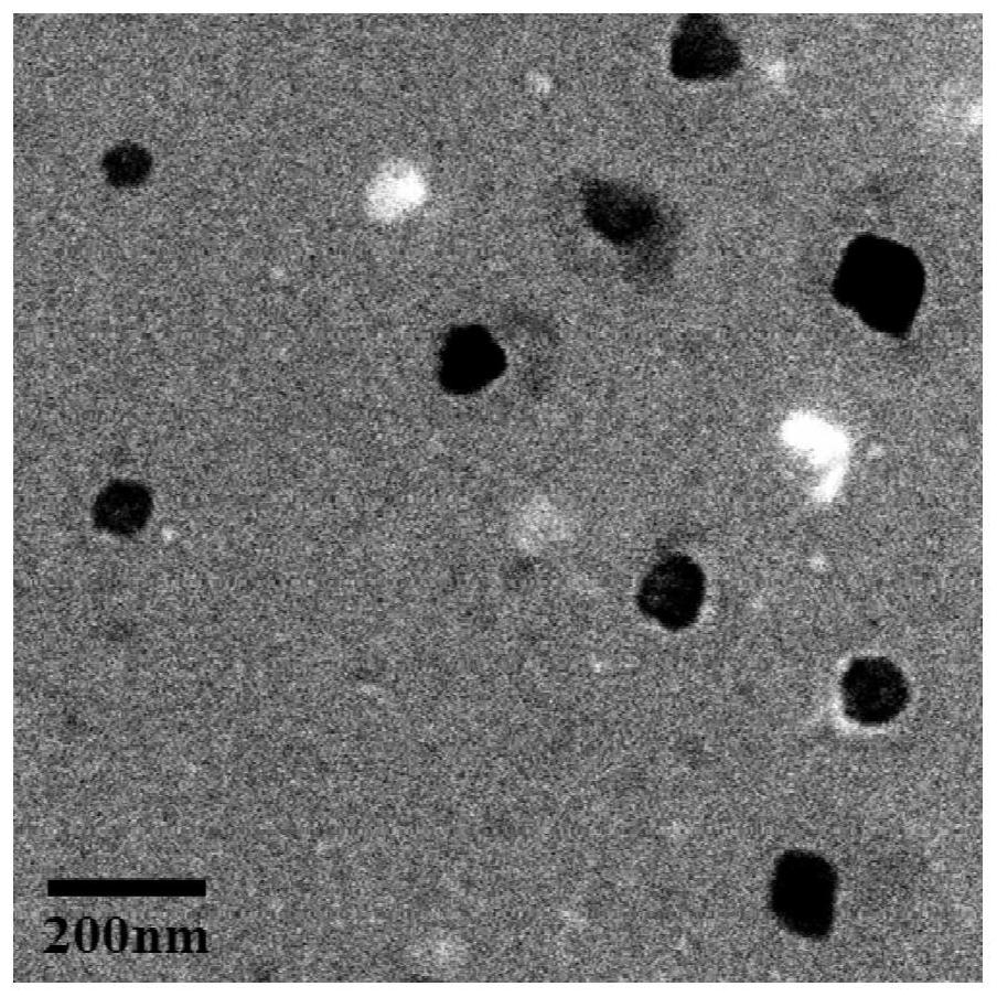 Drug-loaded nano-particles with core-shell structure as well as preparation method and application of drug-loaded nano-particles