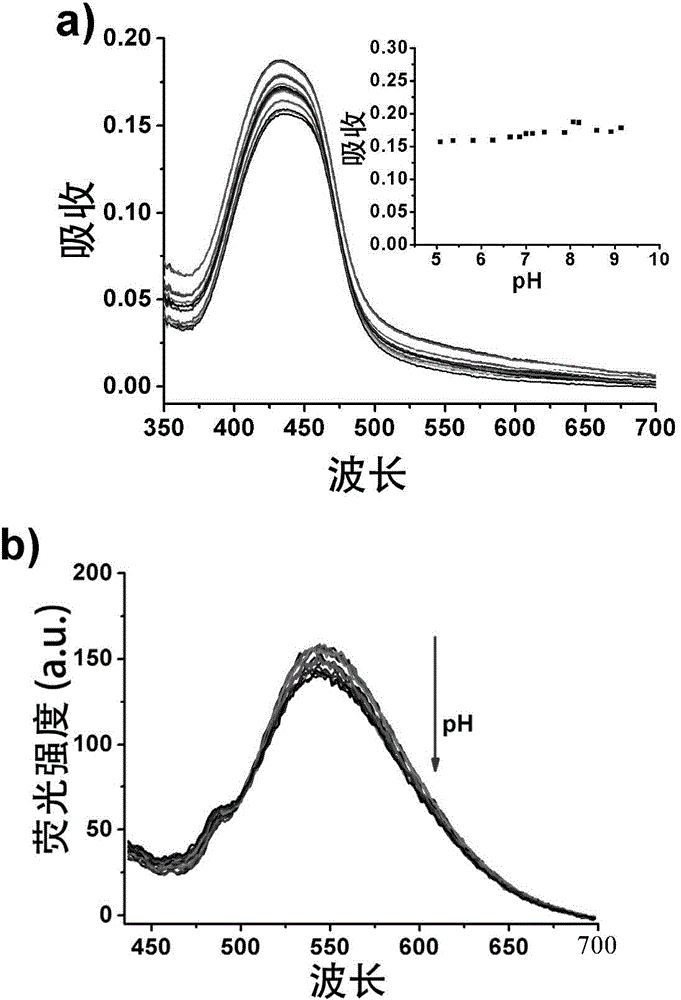 High-selectivity ratio-type fluorescent probe and application thereof