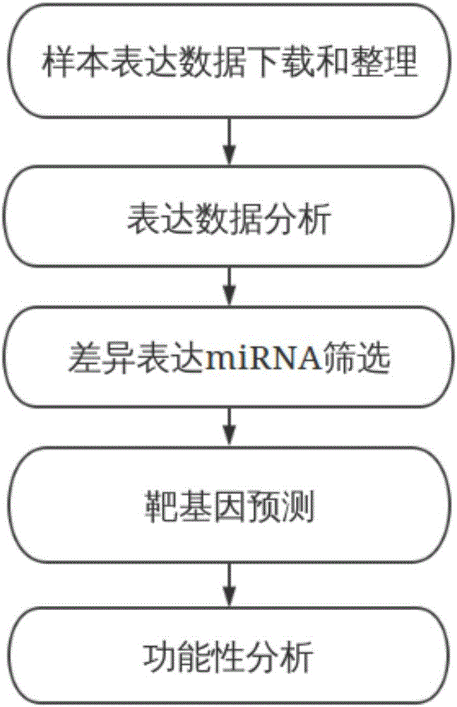 Method and system for detecting rectal cancer related microRNA molecular marker by TCGA (the cancer genome atlas) database resources and application of method and system