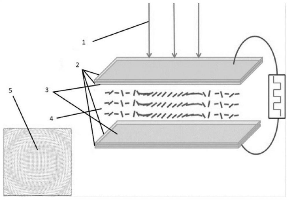 Ferroelectric liquid crystal geometric phase device and preparation system and preparation method thereof