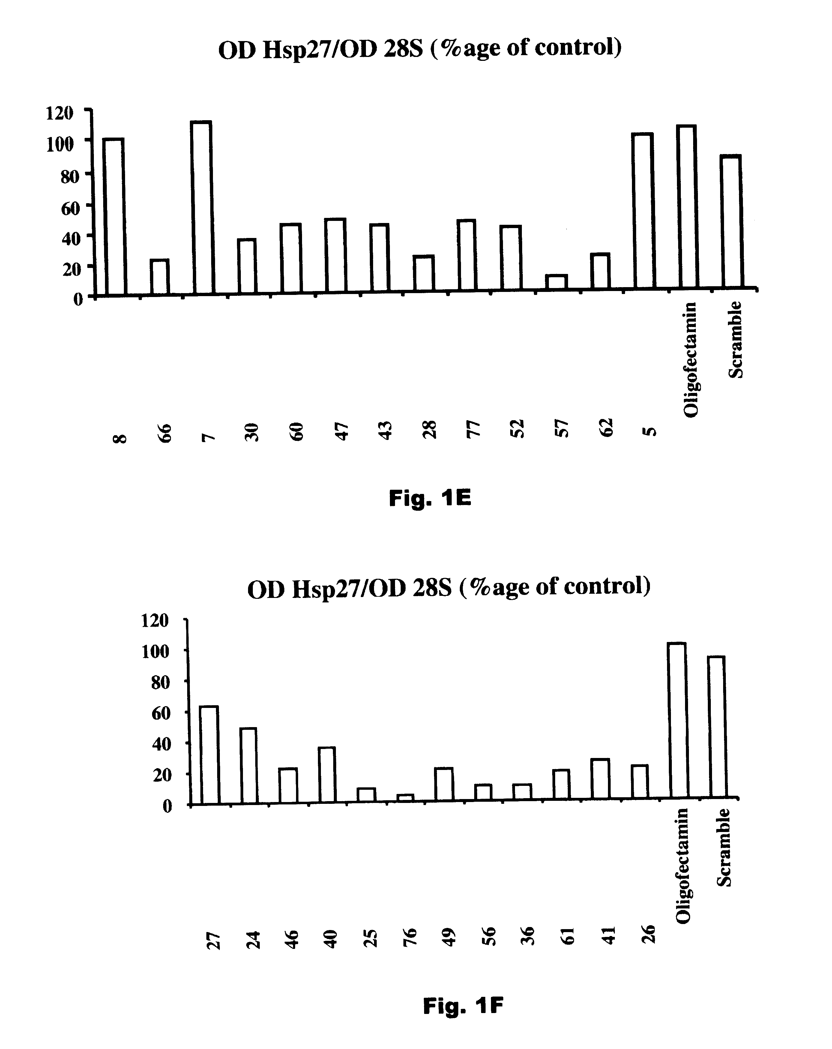 Compositions and Methods for Treatment of Prostate and Other Cancers