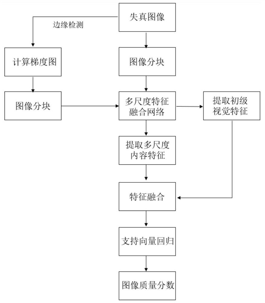 Tone mapping image mixed visual feature extraction model establishment and quality evaluation method