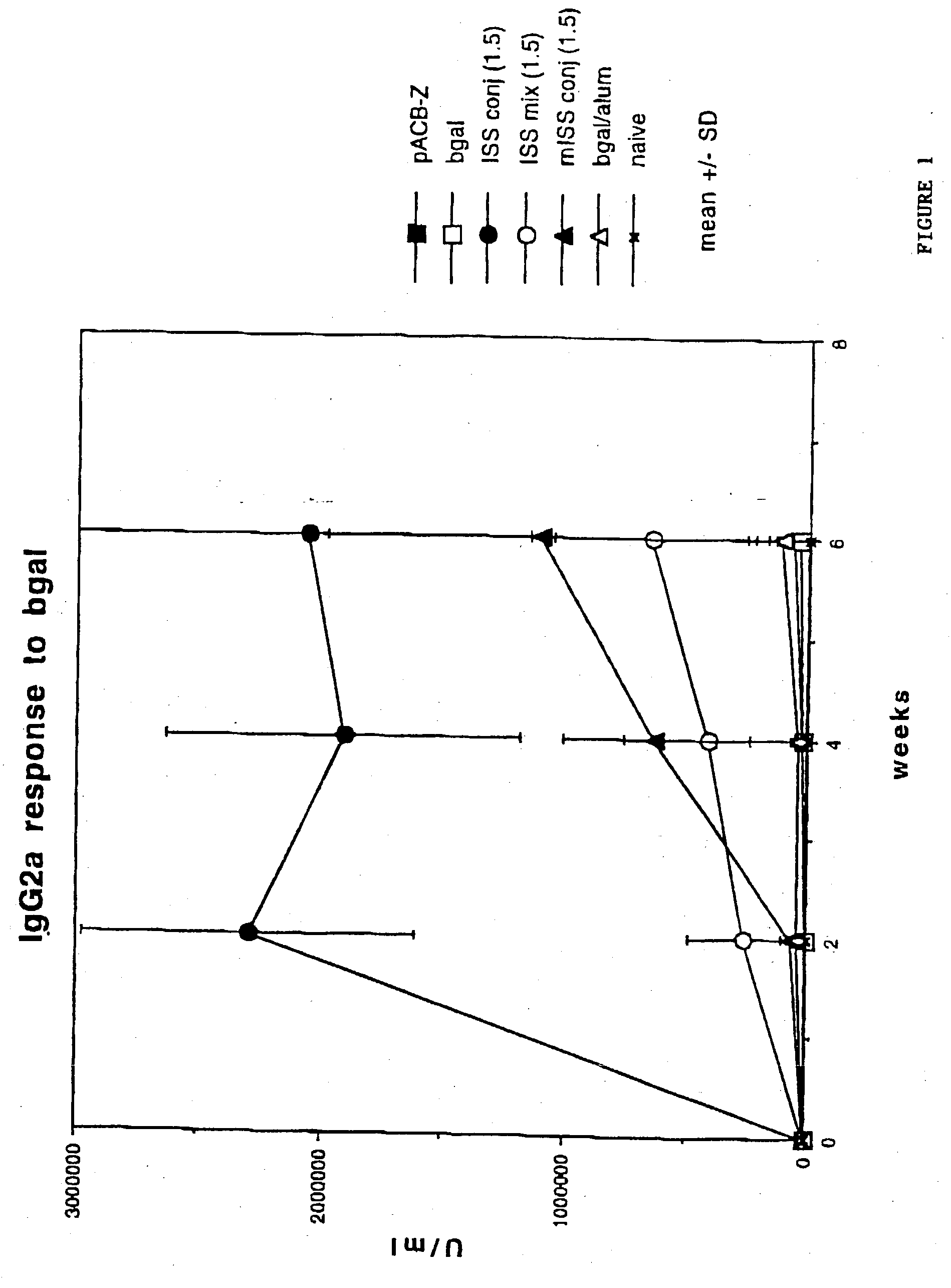 Immunostimulatory polynucleotide/immunomodulatory molecule conjugates