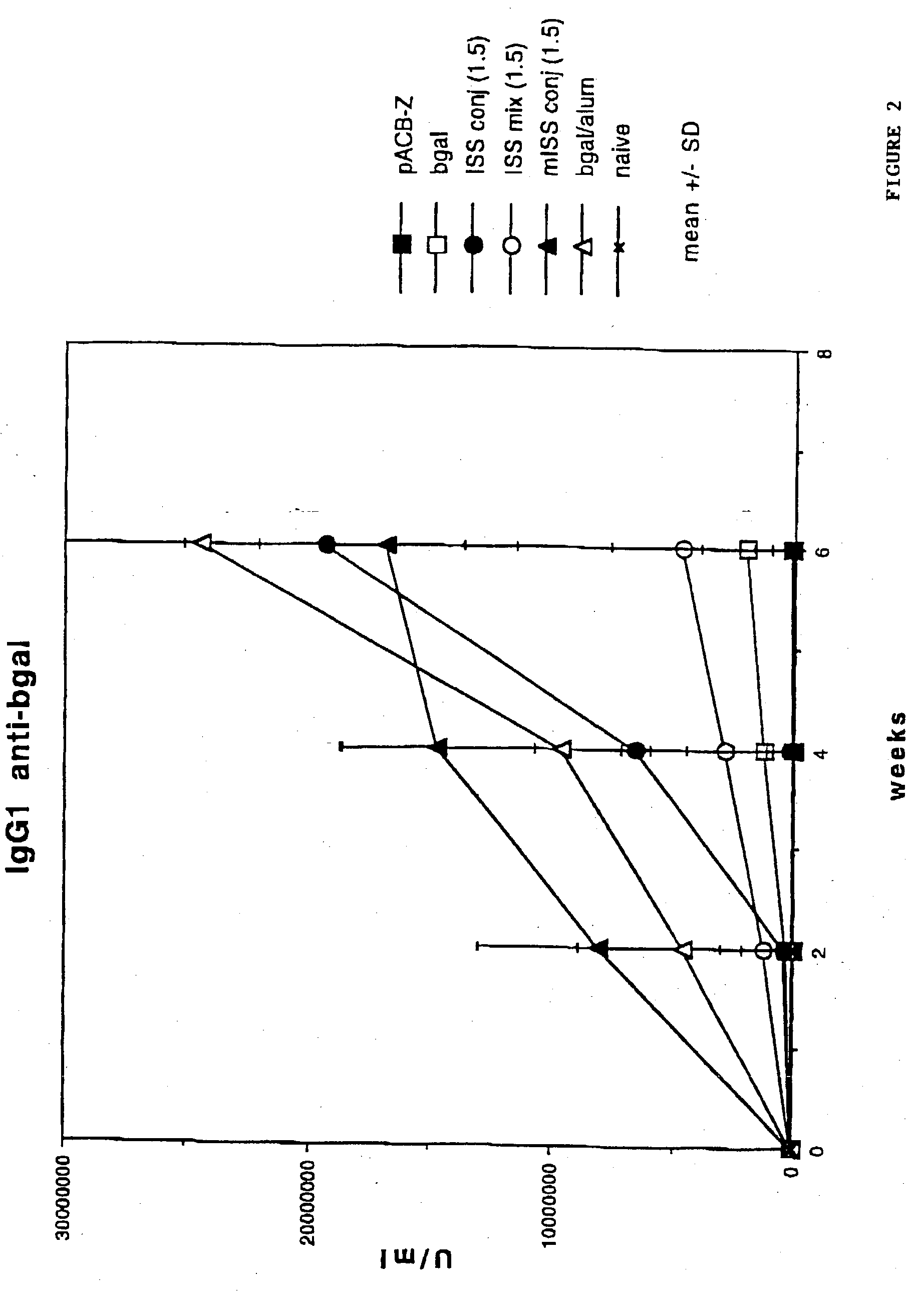 Immunostimulatory polynucleotide/immunomodulatory molecule conjugates