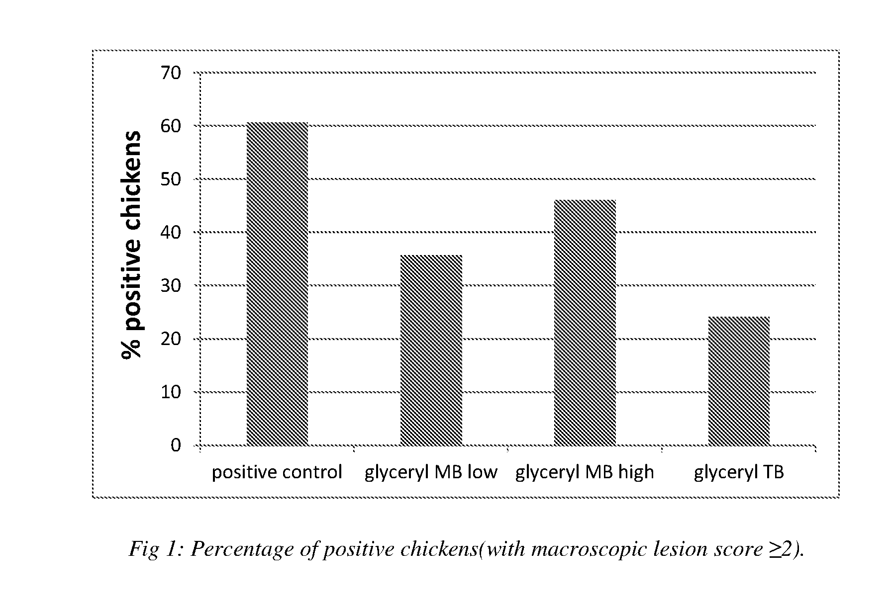 Composition preventing necrotic enteritis in galloanserans