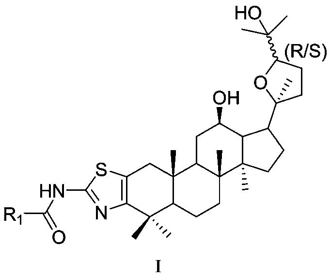 Ocotillol type ginseng sapogenin A ring-aminothiazole ring derivative and preparation method thereof