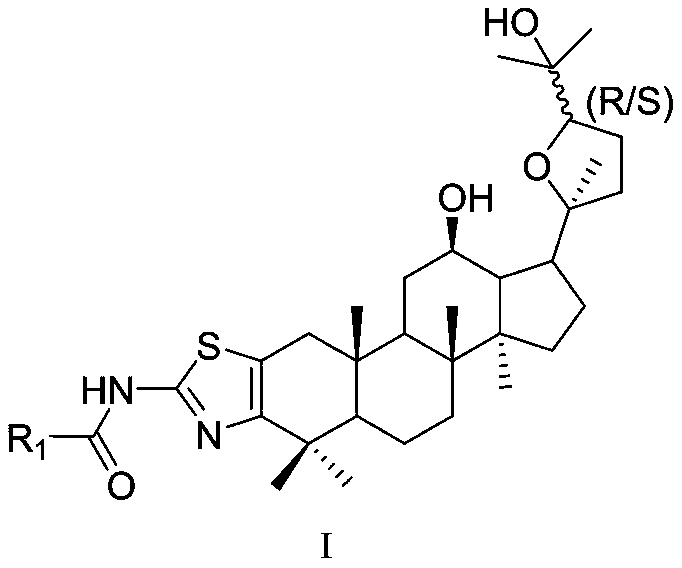 Ocotillol type ginseng sapogenin A ring-aminothiazole ring derivative and preparation method thereof