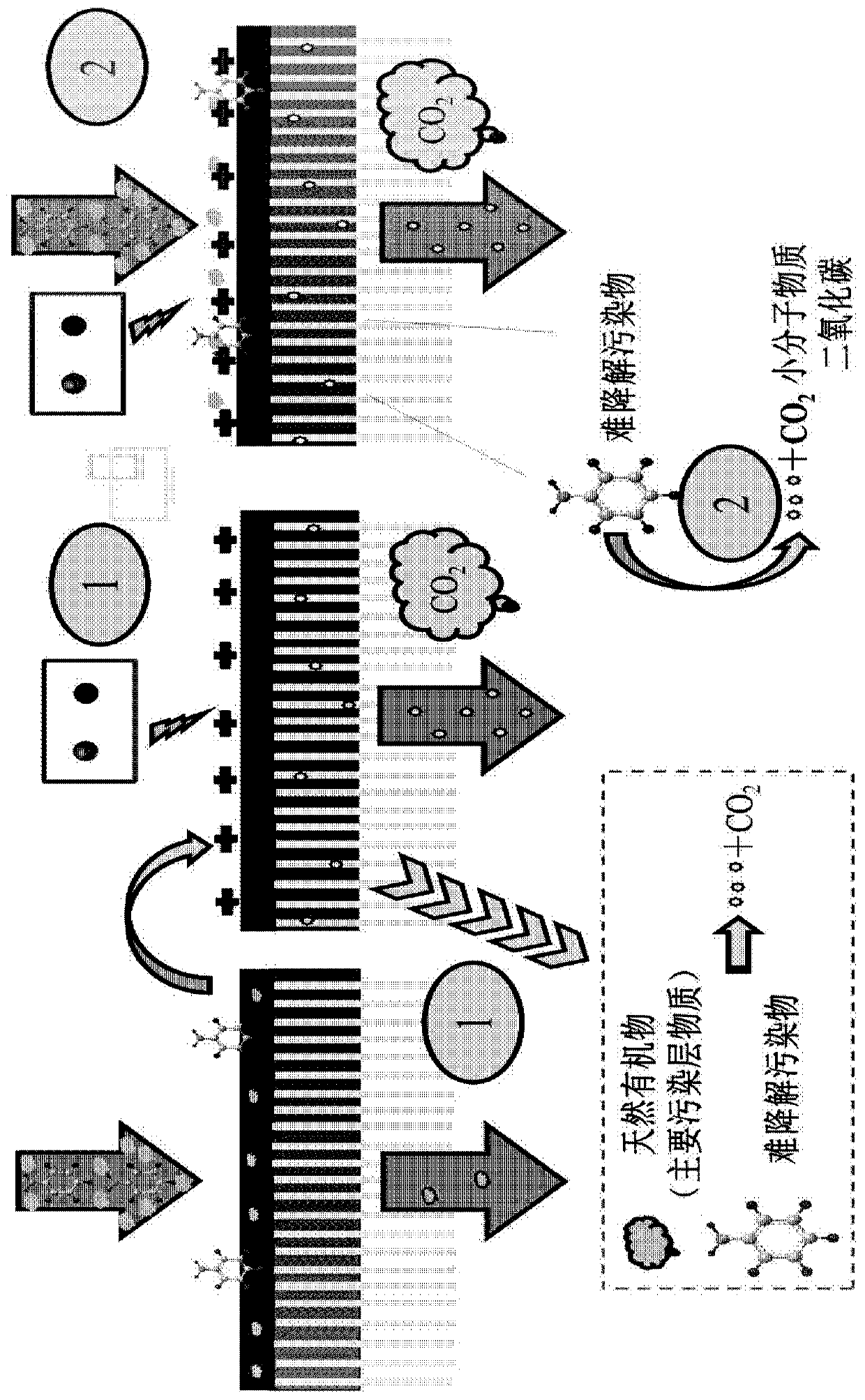 Membrane adsorption assembly, regenerable membrane adsorption reactor, liquid treatment apparatus and method