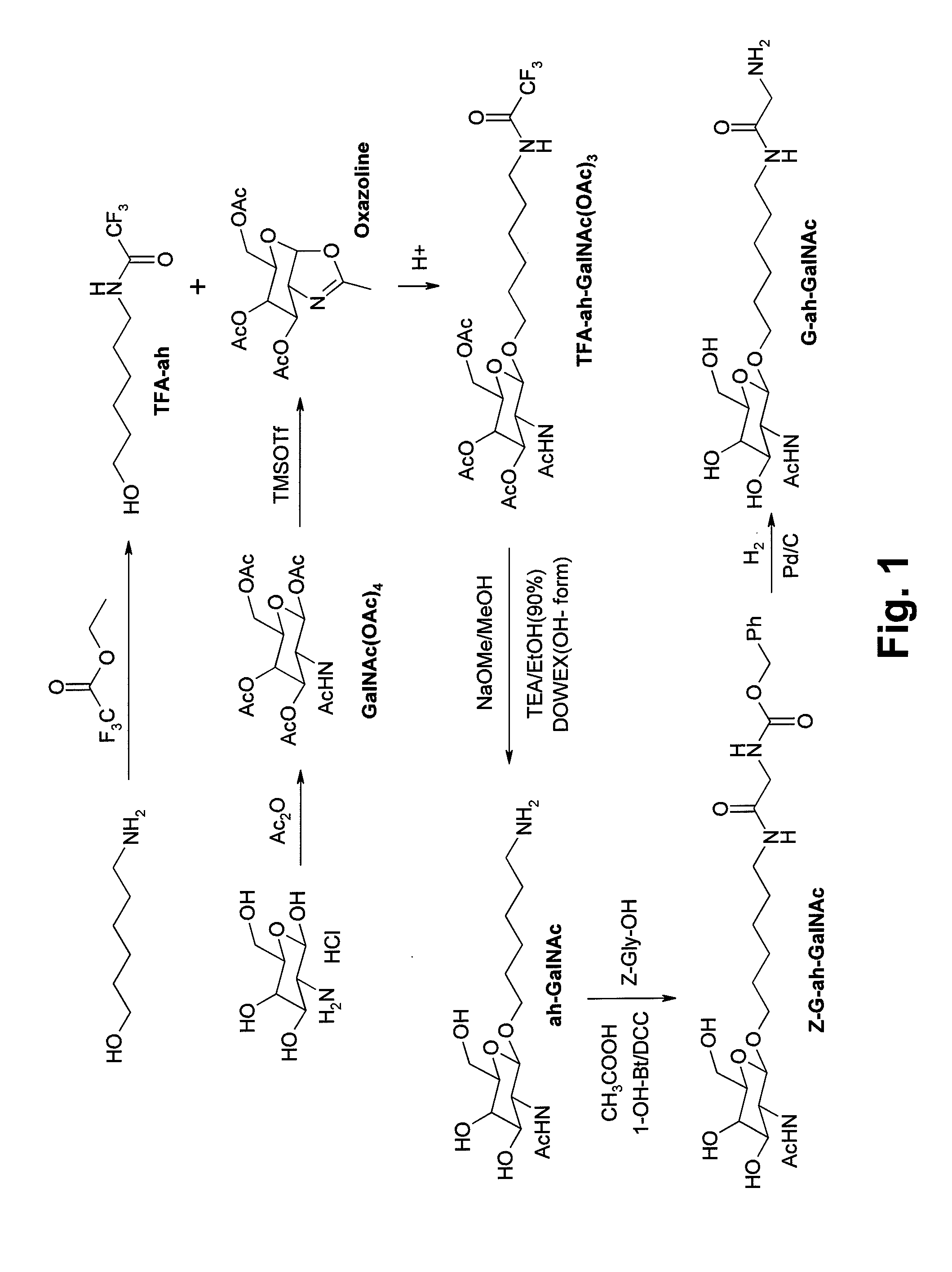 Synthesis method of glyco-drug radiotracer precursor