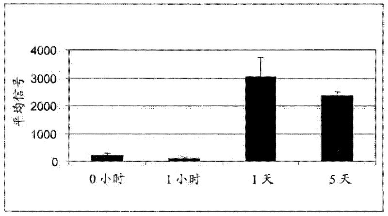 Compositions and methods for regulating cell-cell fusion through medium conductance calcium-activated potassium channels