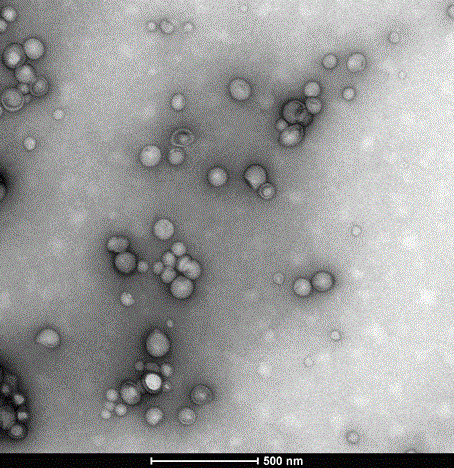 Lipidosome with entrapment antitumor drugs and radiotherapy sensitivity enhancing function