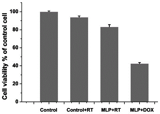 Lipidosome with entrapment antitumor drugs and radiotherapy sensitivity enhancing function