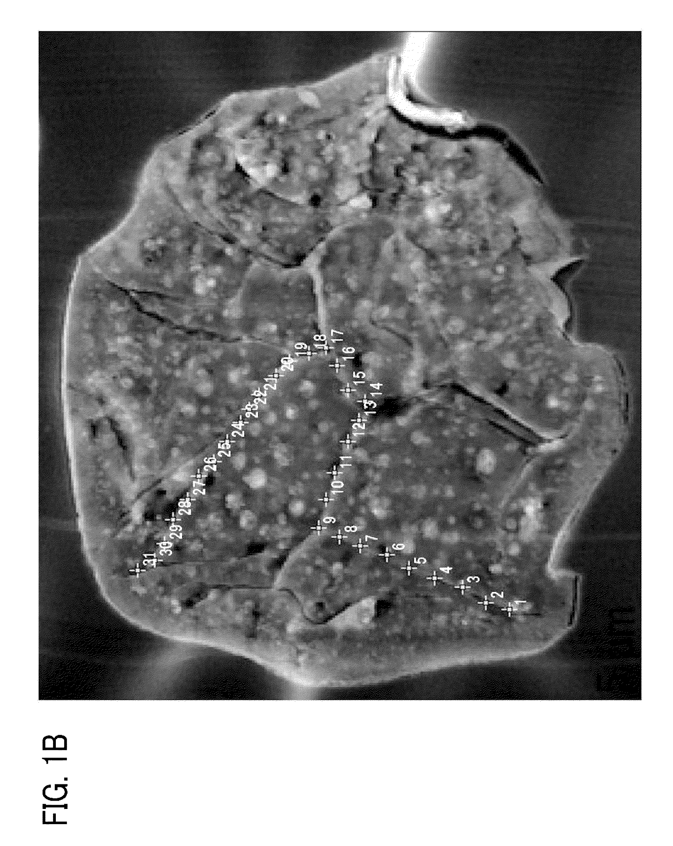Toner, method of manufacturing toner, image forming method, and image forming apparatus