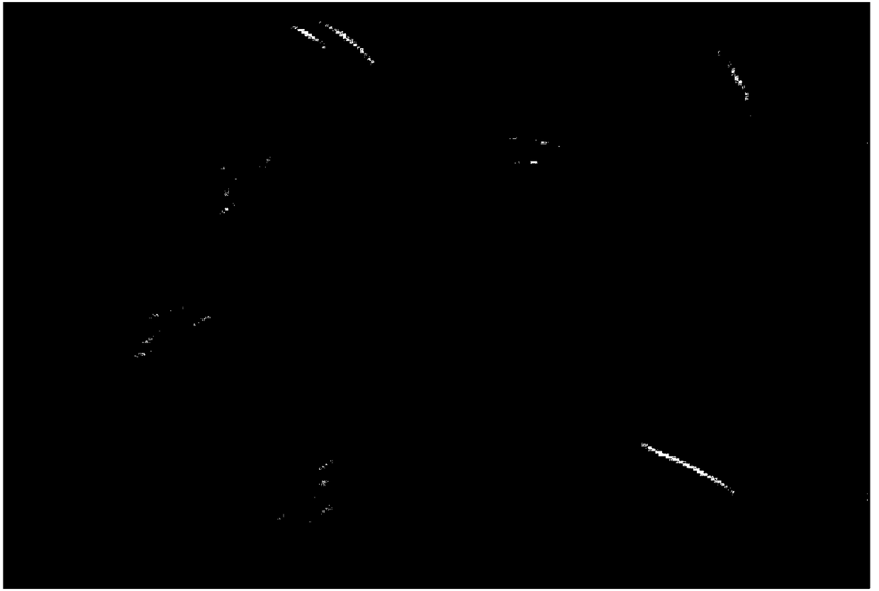 Culture method for improving fucoxanthin accumulation of phaeodactylum tricornutum bohlin