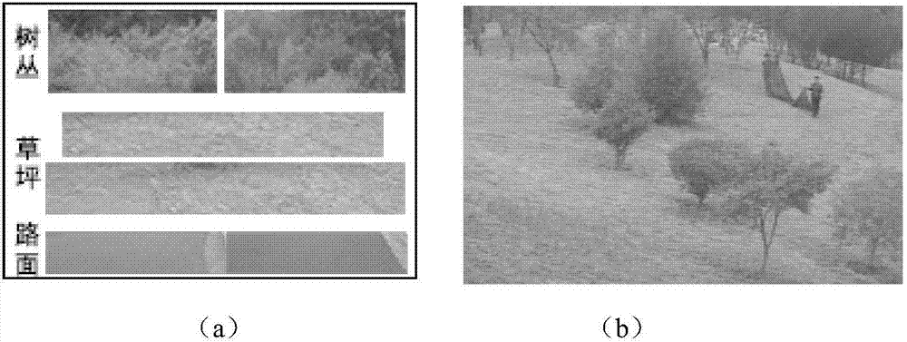 Low-light image colorizing method based on multidimensional data association rules