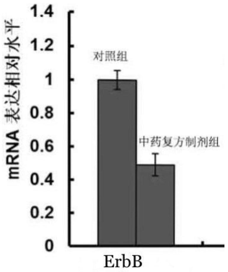 A traditional Chinese medicine compound preparation for treating erbb2 positive gastric cancer and preparation method thereof