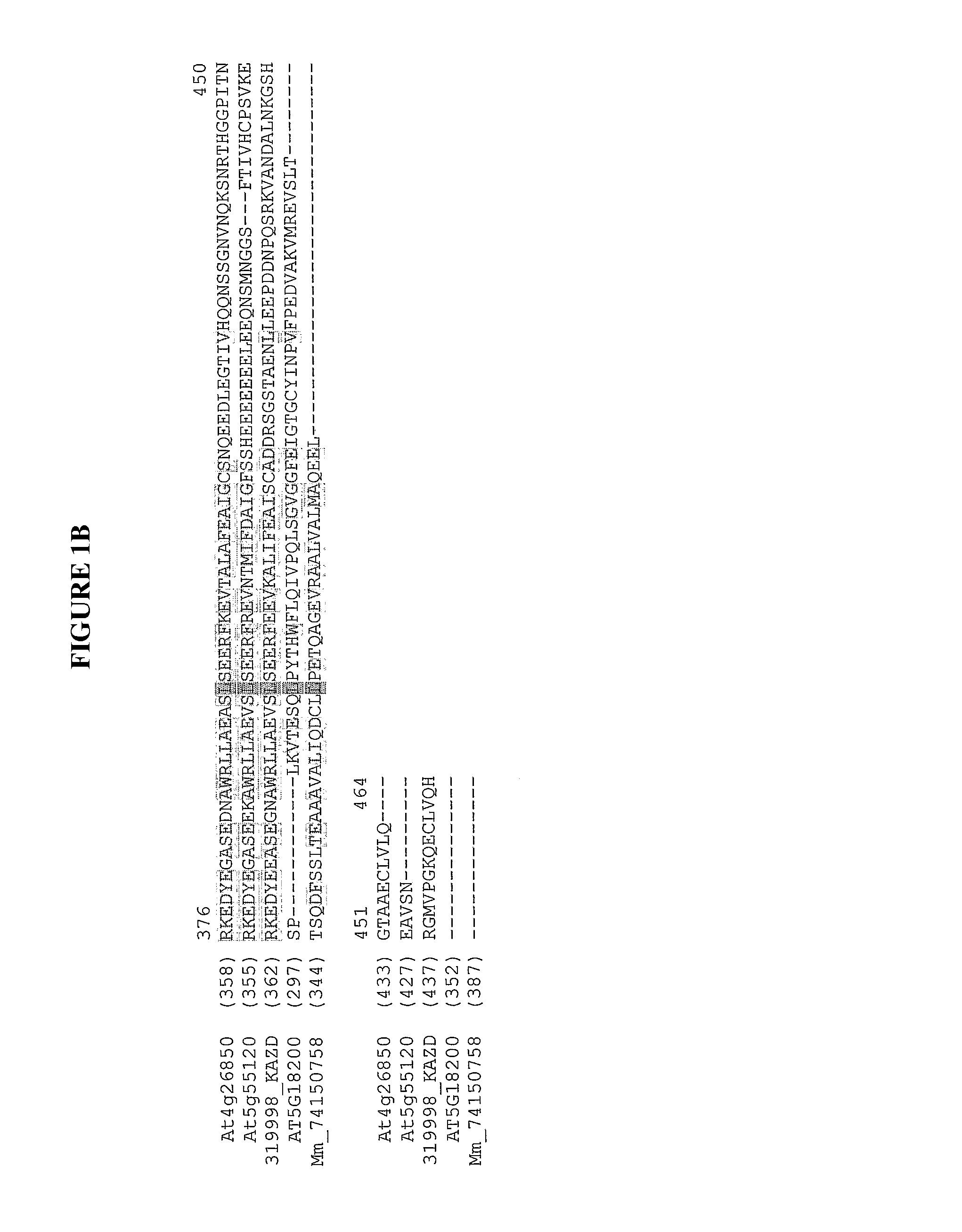 Transferases, epimerases, polynucleotides encoding these and uses thereof