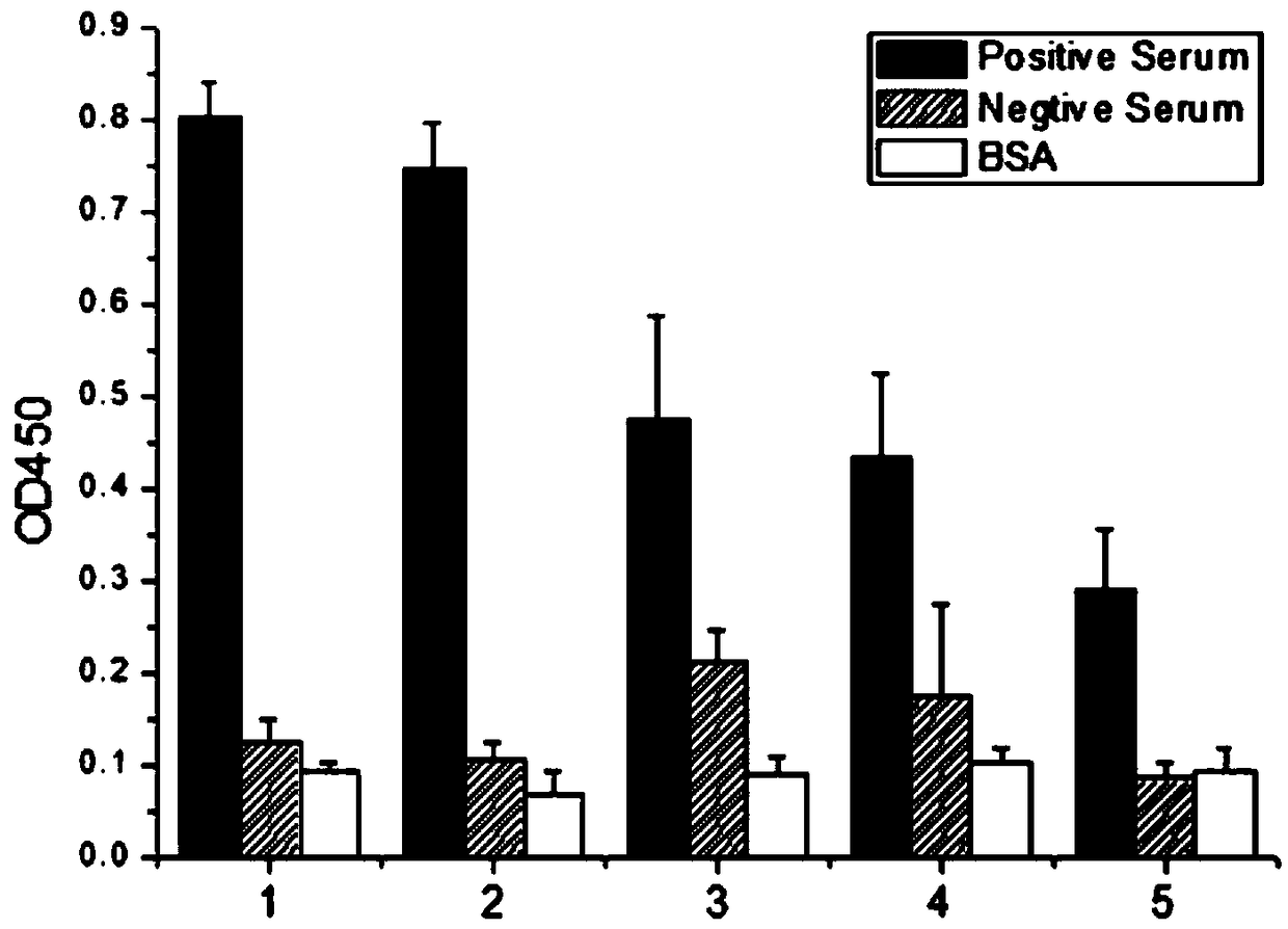 Polypeptide for specifically binding to positive serum of mycoplasma pneumoniae and diagnosis kit