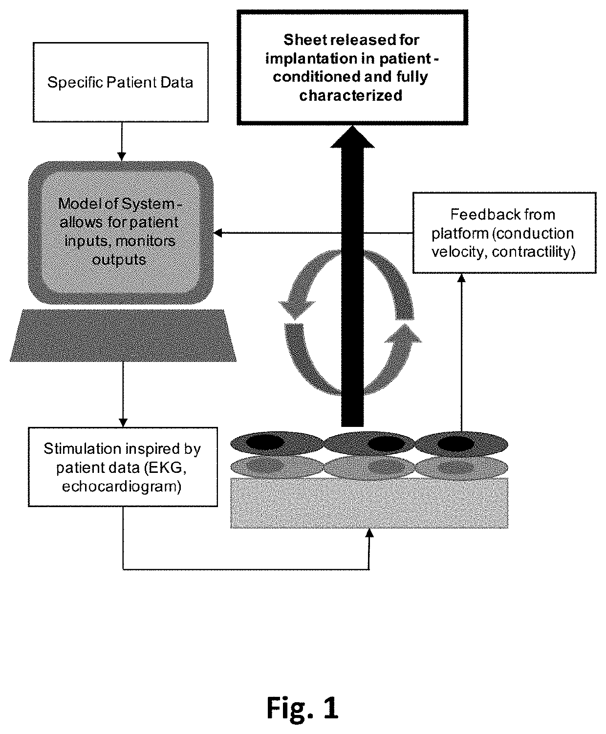 Flexible device and its application for bio-cell in-vitro electrical and mechanical stimulation and characterization