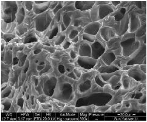 A kind of modified polyvinyl alcohol copolymer and its preparation and gel polymer electrolyte