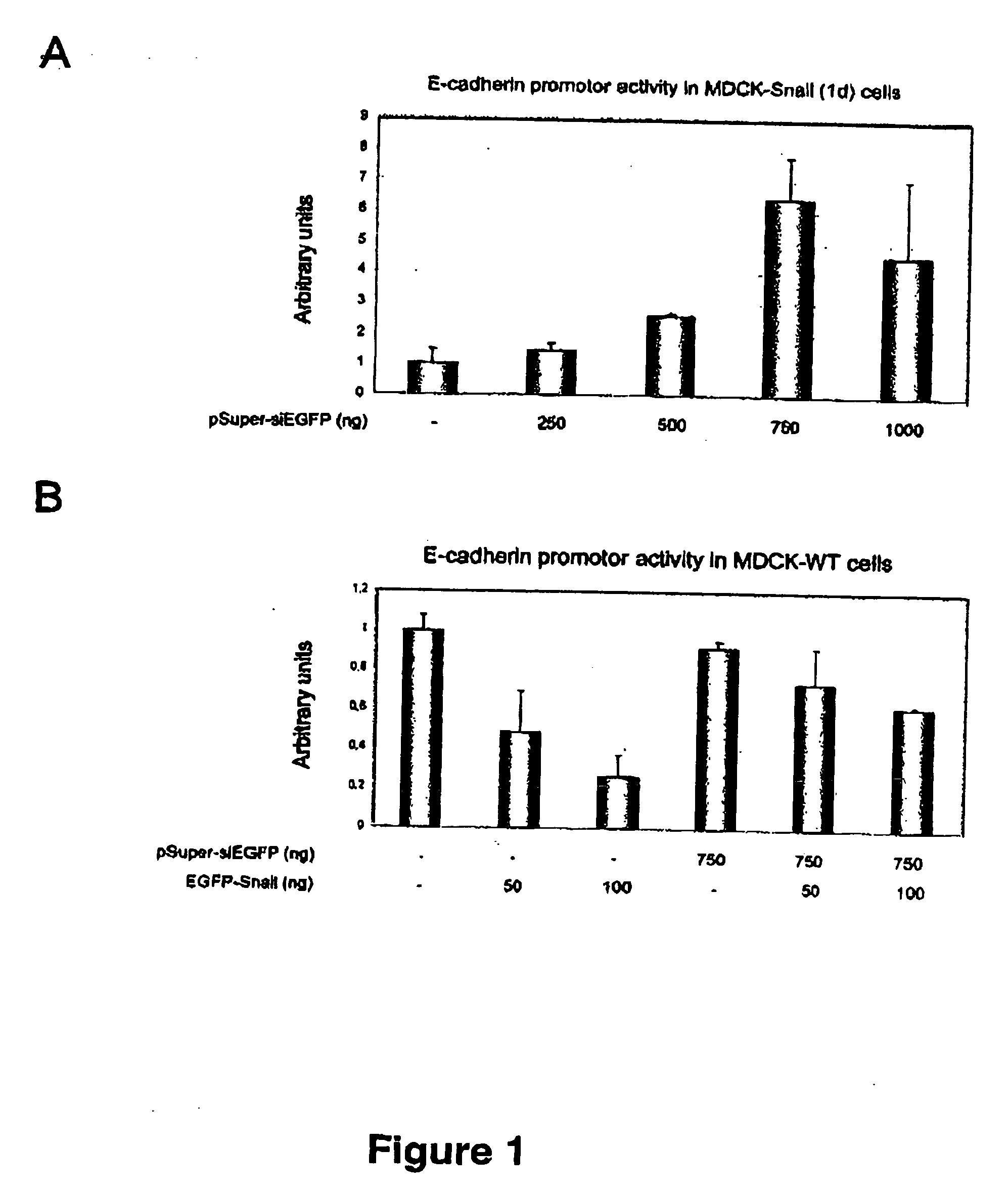Materials and methods for the derepression of the E-cadherin promoter