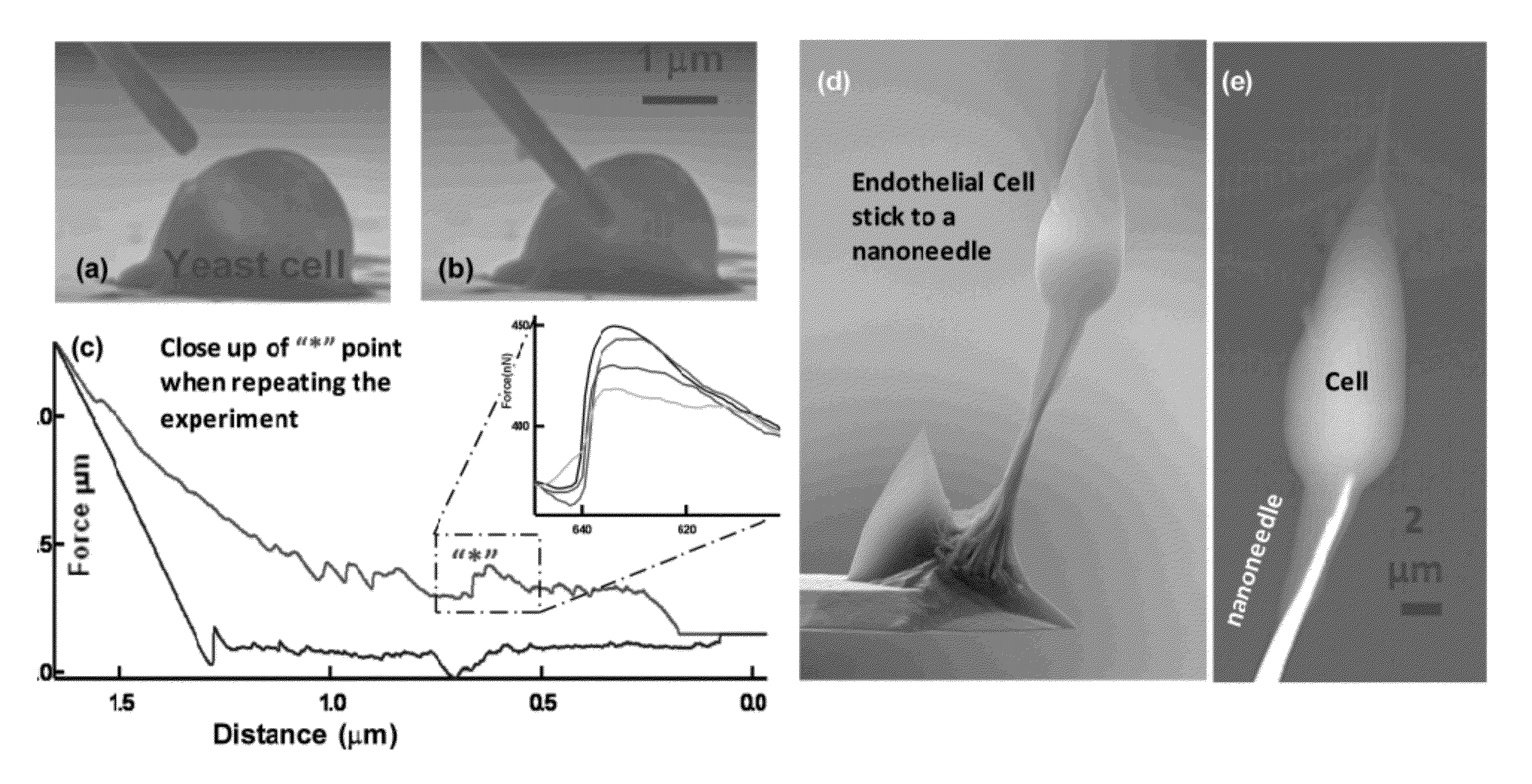 Apparatus and Methods for Detection of Tumor Cells in Blood