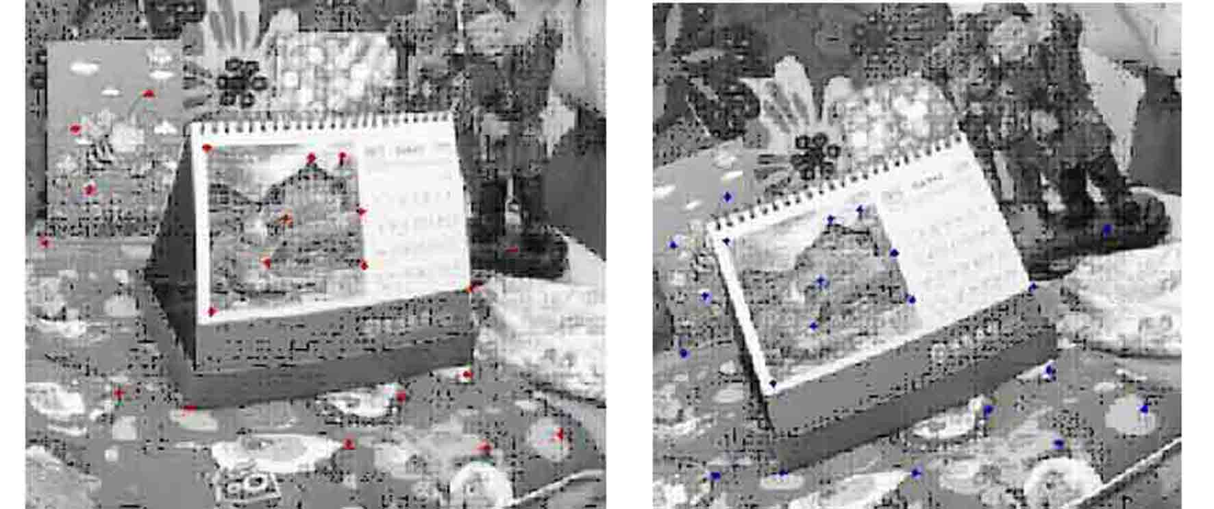 Rotary model-based fisheye image quasi dense corresponding point matching diffusion method