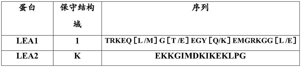 Polypeptide and cryopreservation solution containing polypeptide