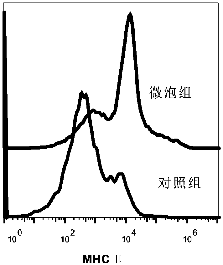 Anti-tumor vaccine compound, preparation method, injection and application