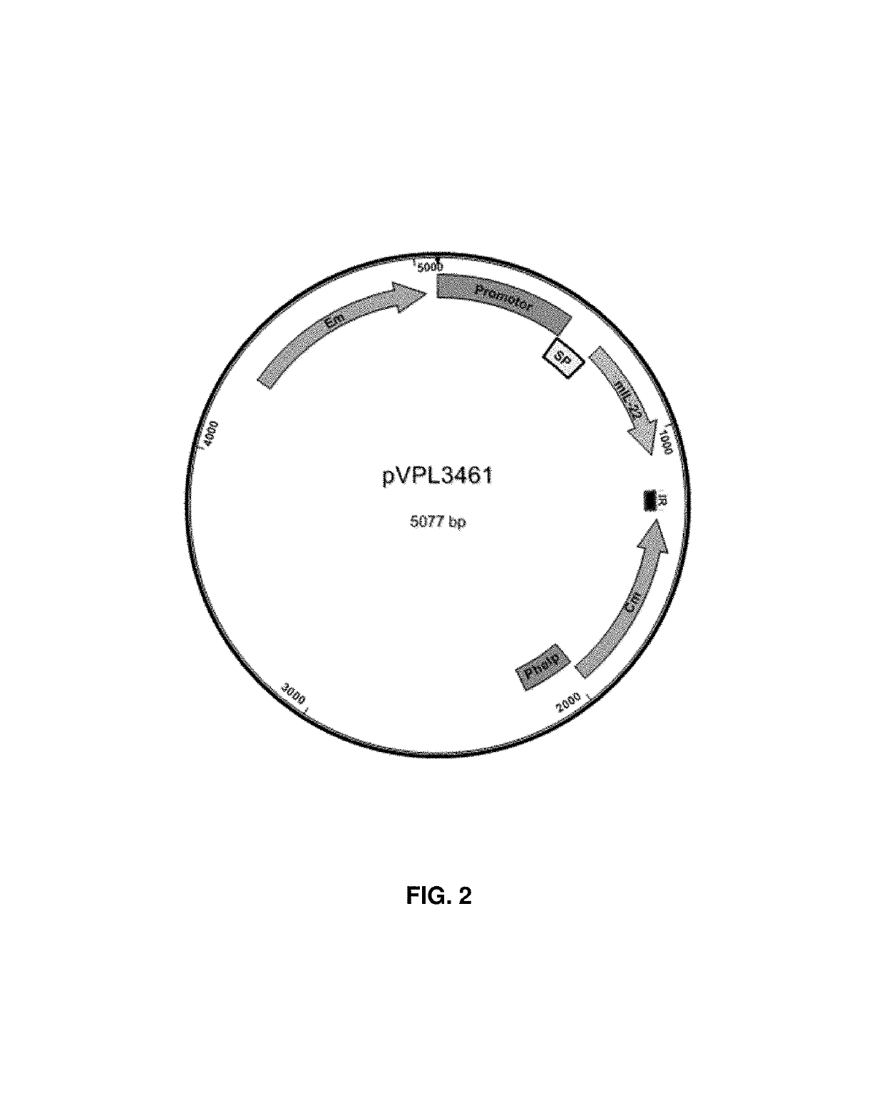 Methods for systemically delivering polypeptides and microorganisms therefor