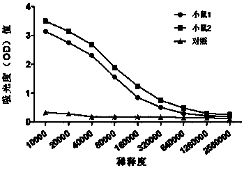 Hybridoma cell strain secreting anti human IL-37 monoclonal antibody and anti human IL-37 monoclonal antibody and application thereof