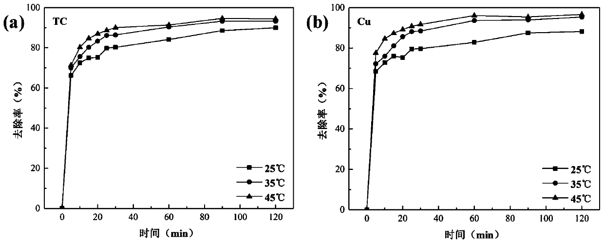 Composite adsorbent for efficiently removing mixed pollutants in wastewater and preparation method of composite adsorbent