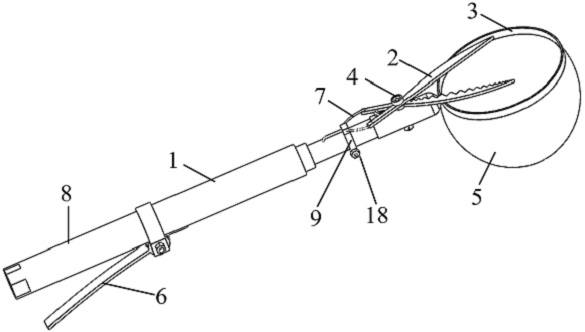 Multifunctional fruit picking tool