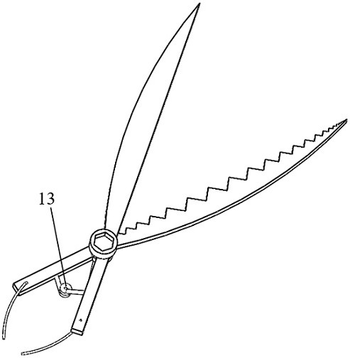 Multifunctional fruit picking tool