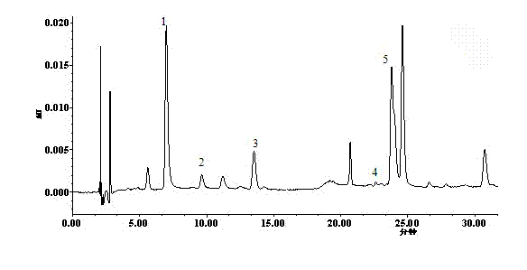 Method for simultaneously determining five organic acid components content in Ixeris sonchifolia Hance injection by HPLC-DAD method
