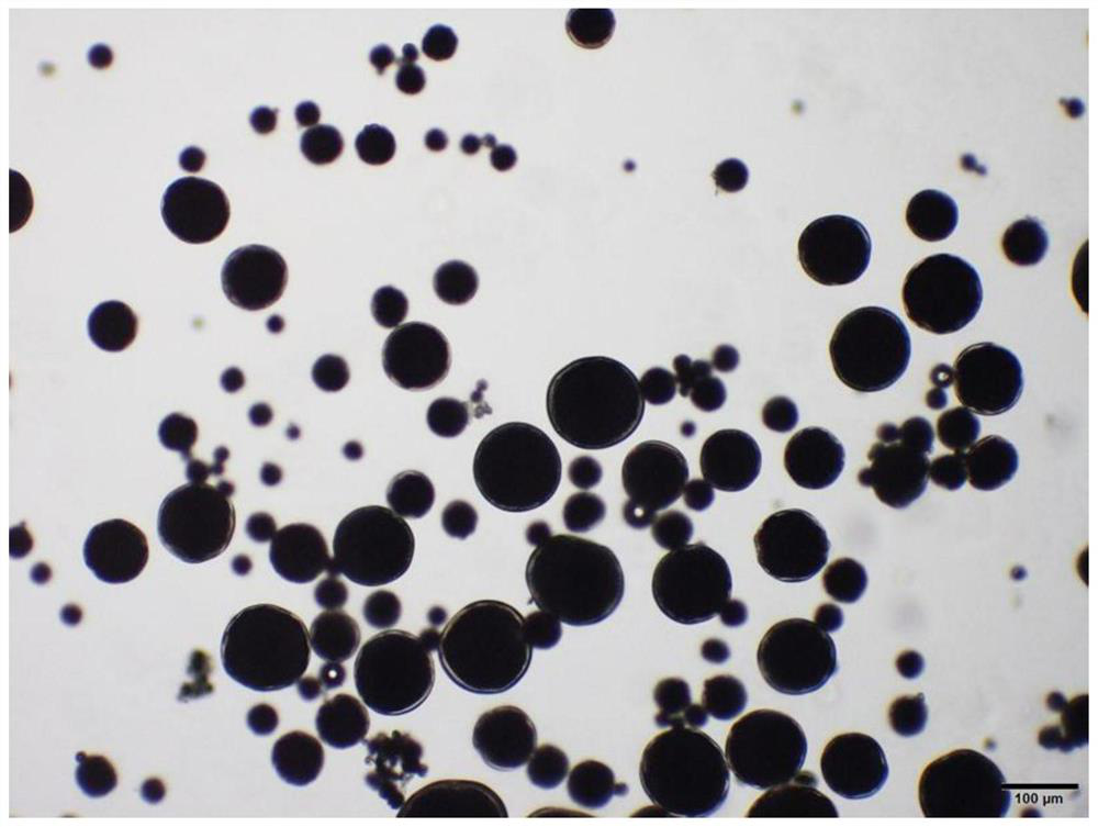 Rasagiline mesylate microsphere preparation and preparation method thereof