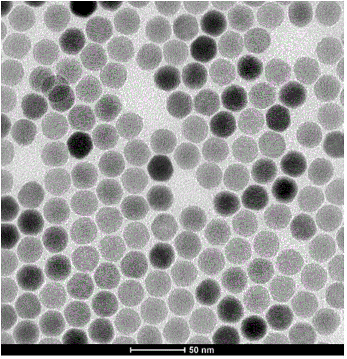 Preparation method of ultra-small nayf4: Yb3+, Er3+ upconversion luminescent material