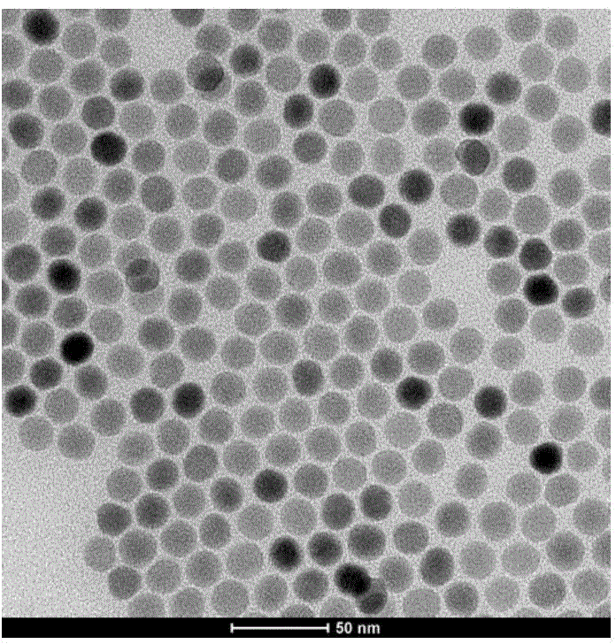 Preparation method of ultra-small nayf4: Yb3+, Er3+ upconversion luminescent material