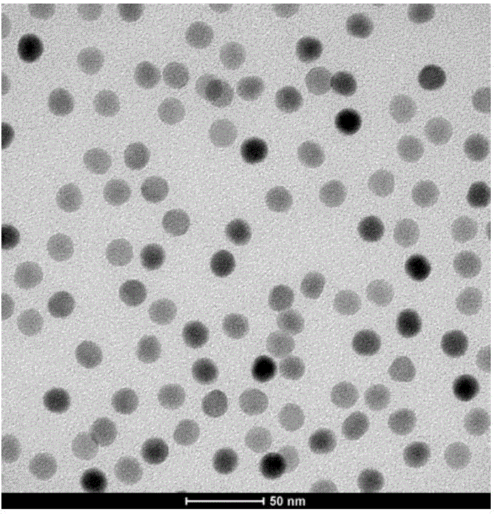 Preparation method of ultra-small nayf4: Yb3+, Er3+ upconversion luminescent material