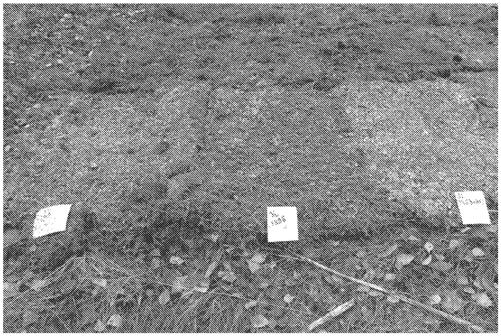 Method and aqueous composition for preventing wildfire